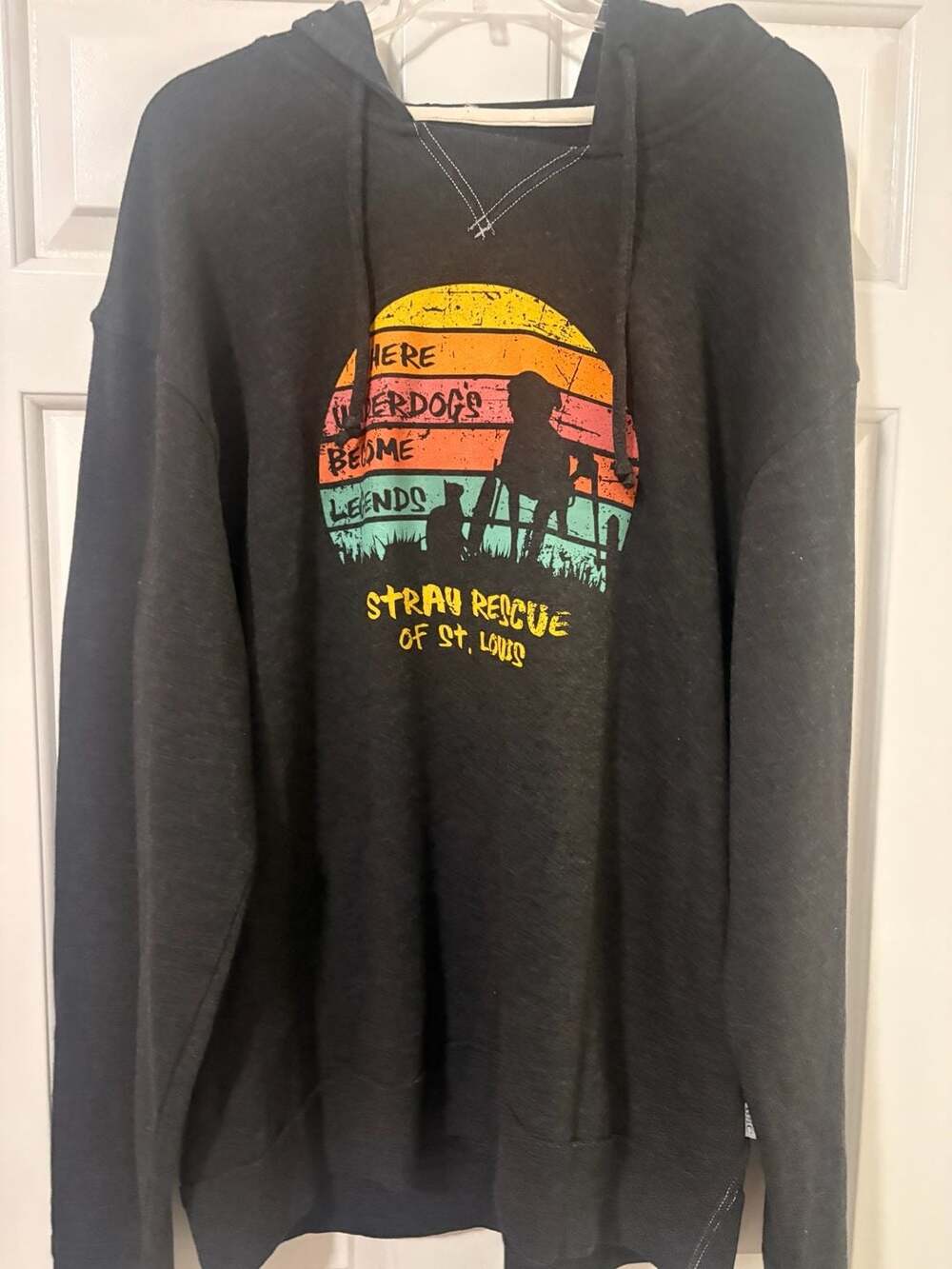 BKC Stray Rescue of St. Louis Graphic Hoodie Charcoal Gray